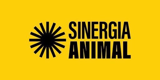 PUBLIC POLICY LEAD (Location: Remote Thailand)